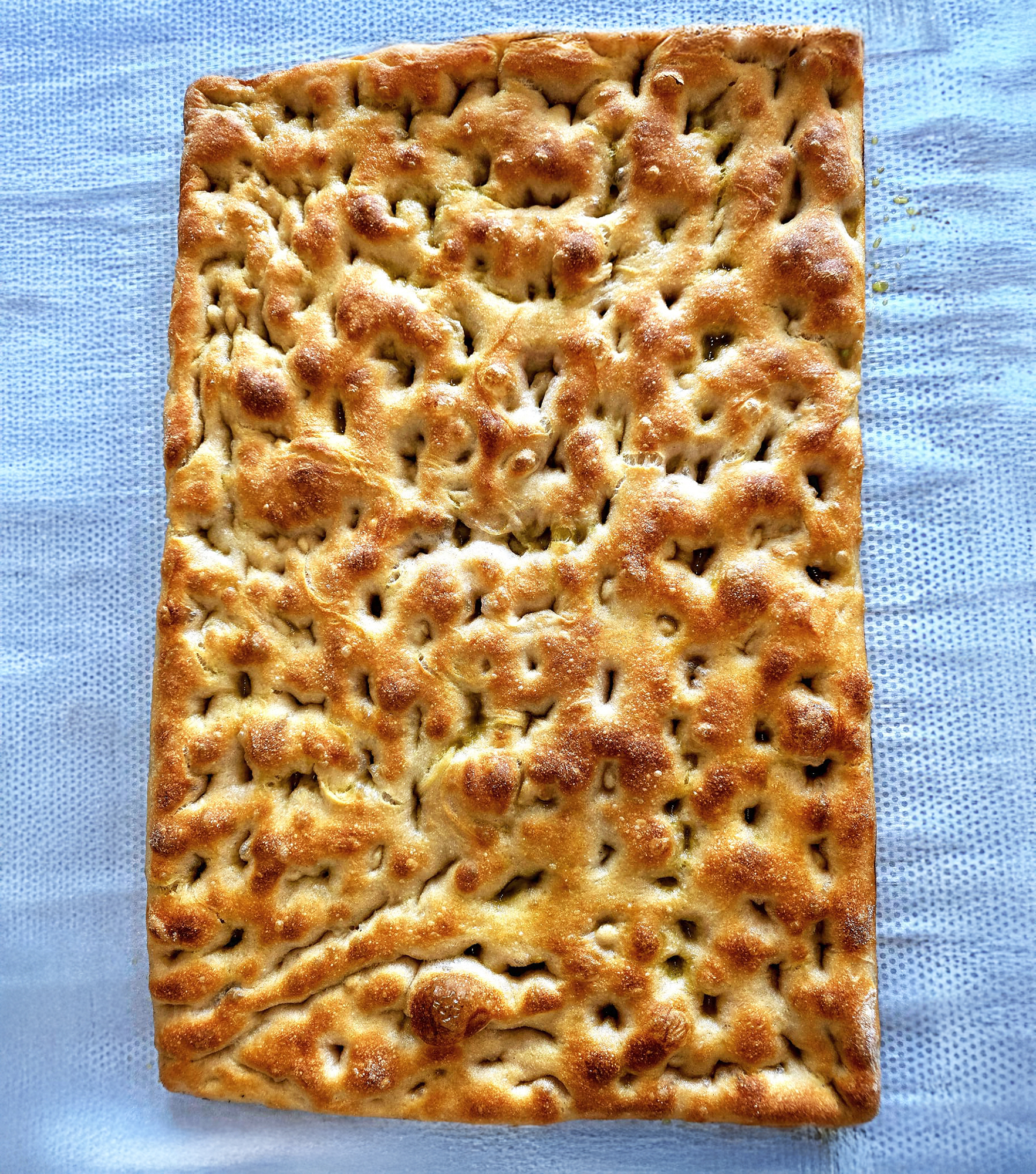 Focaccia & Ciabatta - Backen mit Biga<br><span>Backkurs in Wien</span> – Bild 11